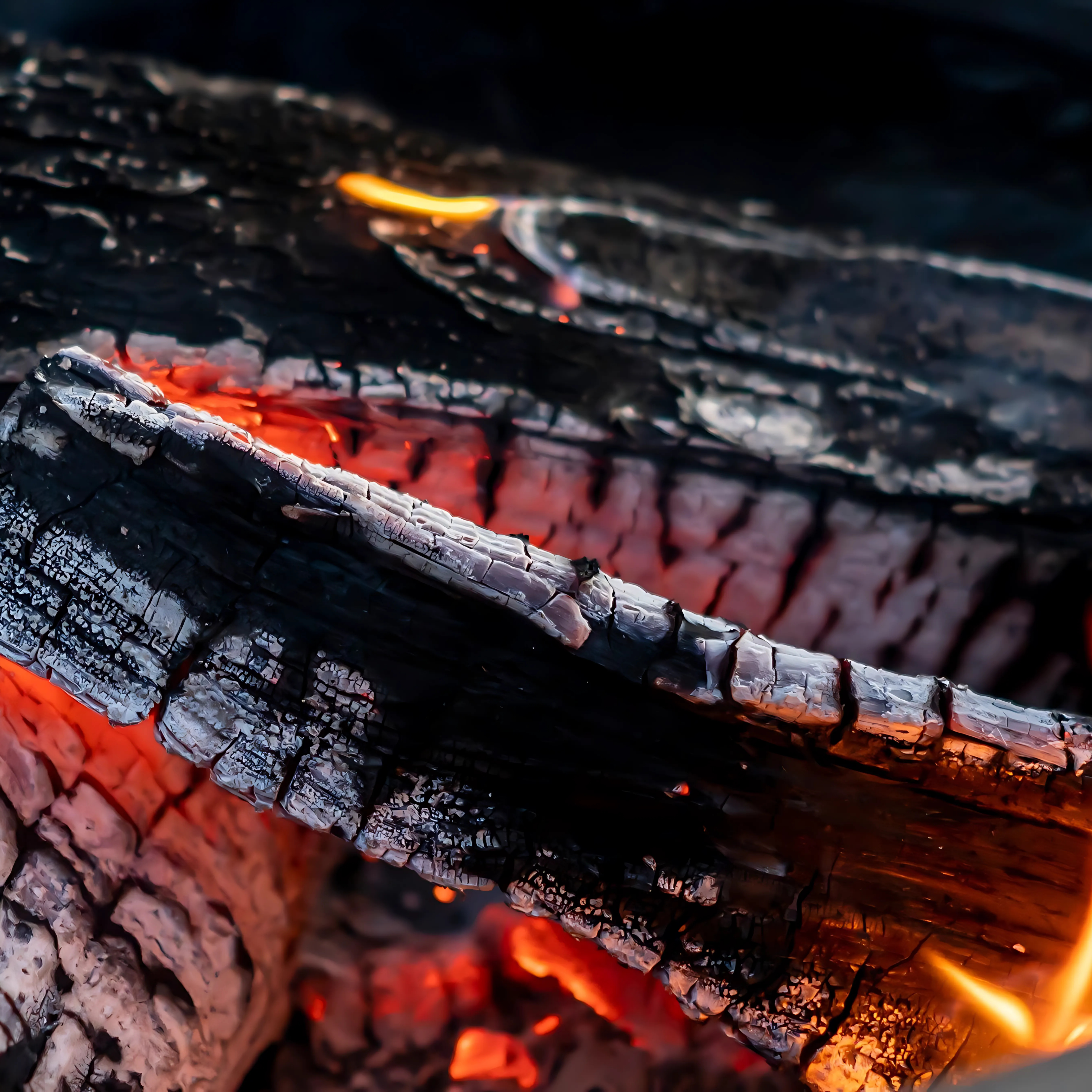 The Outdoor Plus Mojave Wood Burning Cast-iron Grill Metal Collection