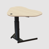 ConSet Electric Adjustable Desk Type 501-19