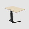 ConSet Electric Adjustable Desk Type 501-19
