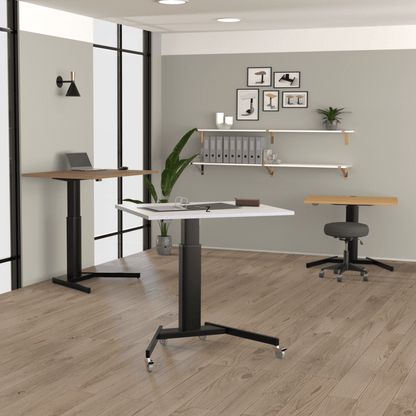 ConSet Electric Adjustable Desk Type 501-19