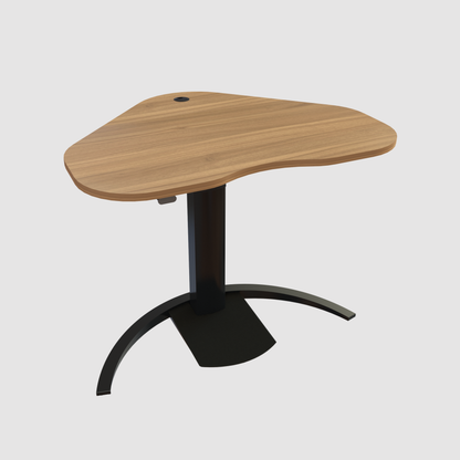 ConSet Electric Adjustable Desk Type 501-19