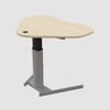 ConSet Electric Adjustable Desk Type 501-19