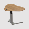 ConSet Electric Adjustable Desk Type 501-19