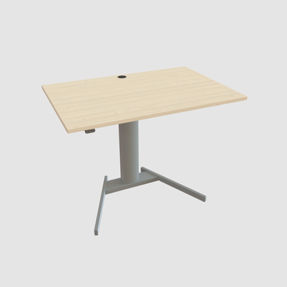ConSet Electric Adjustable Desk Type 501-19
