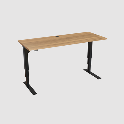 ConSet Electric Adjustable Desk Type 501-37
