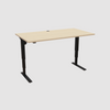 ConSet Electric Adjustable Desk Type 501-37