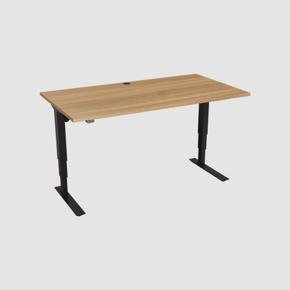 ConSet Electric Adjustable Desk Type 501-37