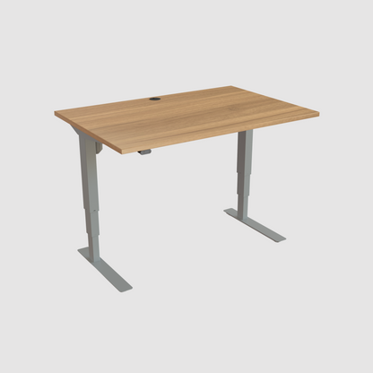 ConSet Electric Adjustable Desk Type 501-37