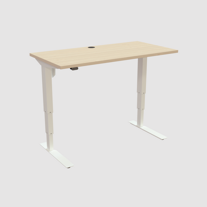 ConSet Electric Adjustable Desk Type 501-37