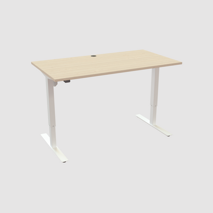 ConSet Electric Adjustable Desk Type 501-47