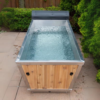 Leisurecraft The Polar Plunge Tub